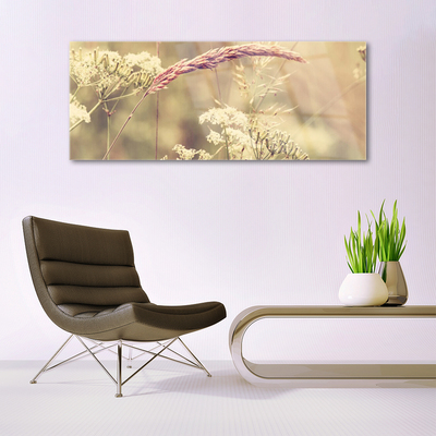 Tableaux sur verre Plantes sauvages floral blanc brun