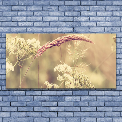 Tableaux sur verre Plantes sauvages floral blanc brun