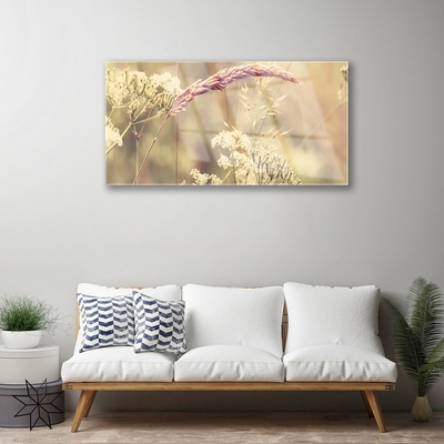 Tableaux sur verre Plantes sauvages floral blanc brun