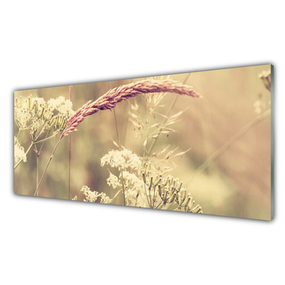 Tableaux sur verre Plantes sauvages floral blanc brun