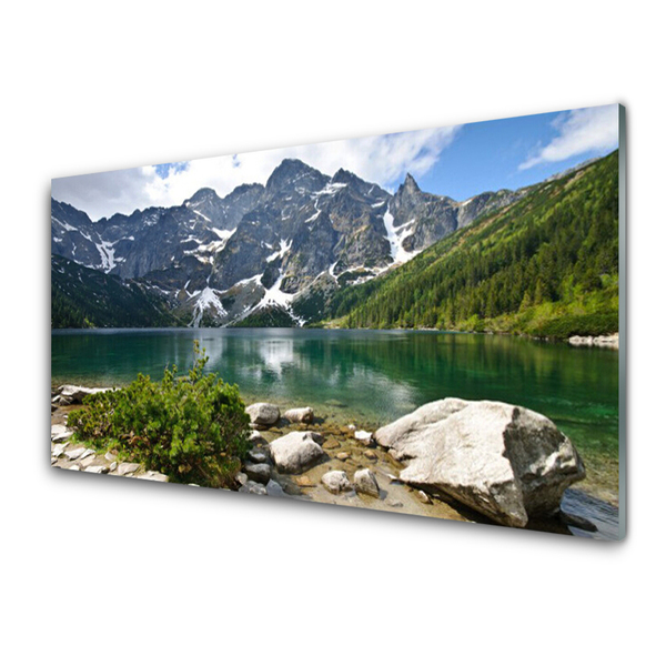 Tableaux sur verre Lac montagne paysage bleu gris blanc