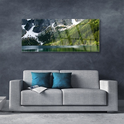 Tableaux sur verre Lac montagnes forêt paysage gris blanc vert