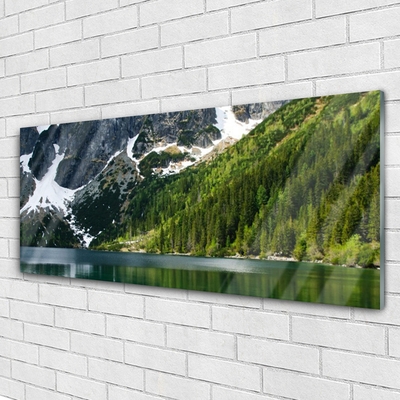 Tableaux sur verre Lac montagnes forêt paysage gris blanc vert