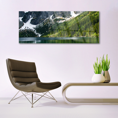 Tableaux sur verre Lac montagnes forêt paysage gris blanc vert