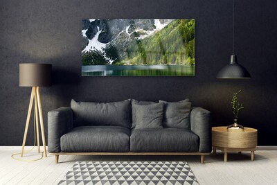 Tableaux sur verre Lac montagnes forêt paysage gris blanc vert