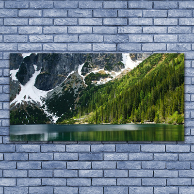 Tableaux sur verre Lac montagnes forêt paysage gris blanc vert