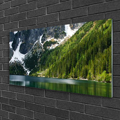 Tableaux sur verre Lac montagnes forêt paysage gris blanc vert