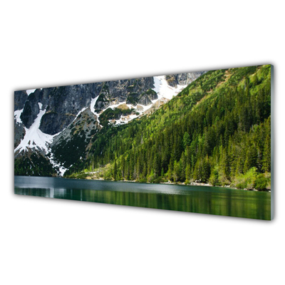 Tableaux sur verre Lac montagnes forêt paysage gris blanc vert