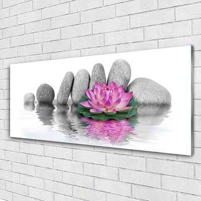 Tableaux sur verre Pierres fleurs art rose gris