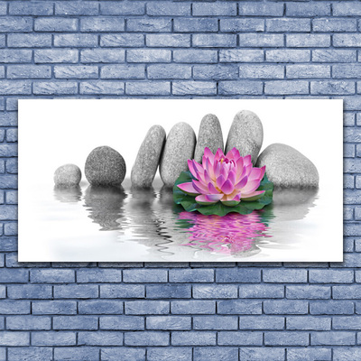 Tableaux sur verre Pierres fleurs art rose gris