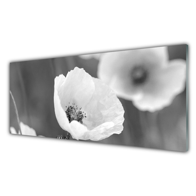 Tableaux sur verre Coquelicots floral gris