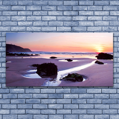 Tableaux sur verre Plage paysage violet