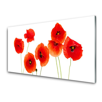 Tableaux sur verre Coquelicots floral rouge noir