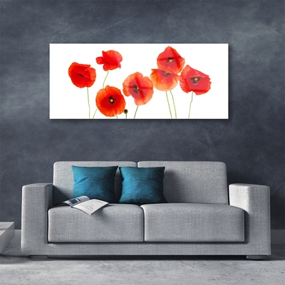 Tableaux sur verre Coquelicots floral rouge noir