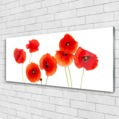 Tableaux sur verre Coquelicots floral rouge noir