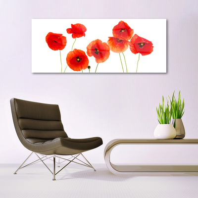 Tableaux sur verre Coquelicots floral rouge noir