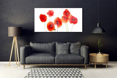 Tableaux sur verre Coquelicots floral rouge noir