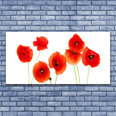 Tableaux sur verre Coquelicots floral rouge noir