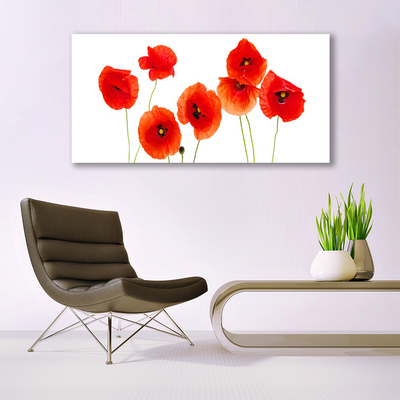 Tableaux sur verre Coquelicots floral rouge noir