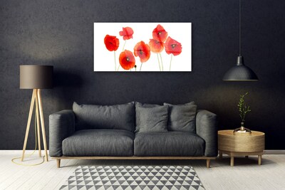 Tableaux sur verre Coquelicots floral rouge noir