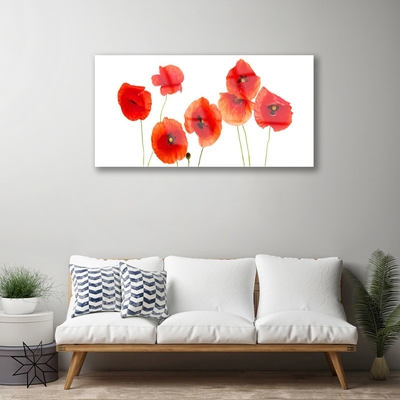 Tableaux sur verre Coquelicots floral rouge noir