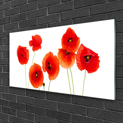 Tableaux sur verre Coquelicots floral rouge noir