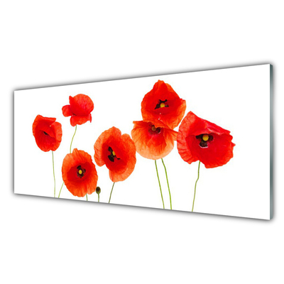 Tableaux sur verre Coquelicots floral rouge noir