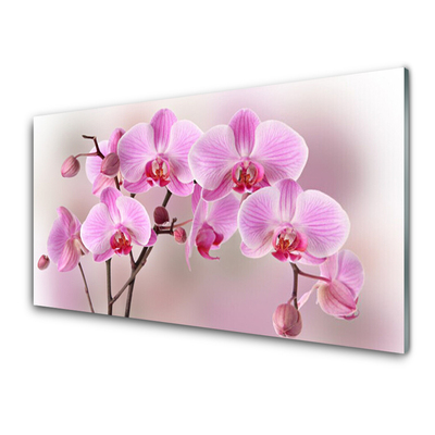 Tableaux sur verre Fleurs floral rose