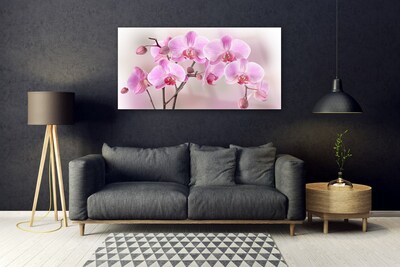 Tableaux sur verre Fleurs floral rose