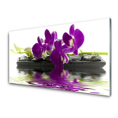 Tableaux sur verre Fleurs floral rose