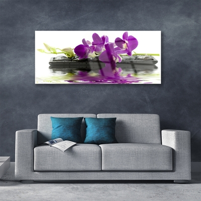 Tableaux sur verre Fleurs floral rose