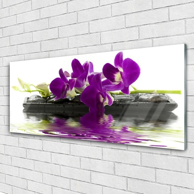 Tableaux sur verre Fleurs floral rose