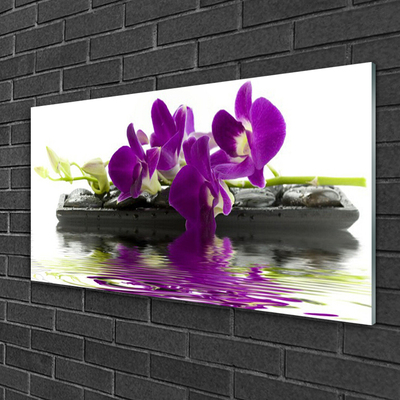 Tableaux sur verre Fleurs floral rose