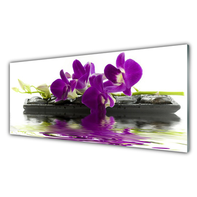 Tableaux sur verre Fleurs floral rose