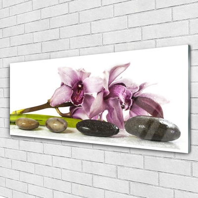 Tableaux sur verre Pierres fleurs floral rose gris noir