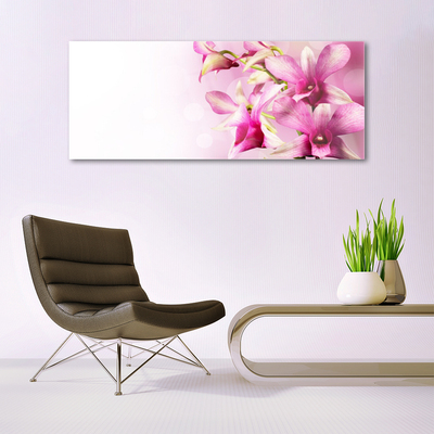 Tableaux sur verre Fleurs floral rose