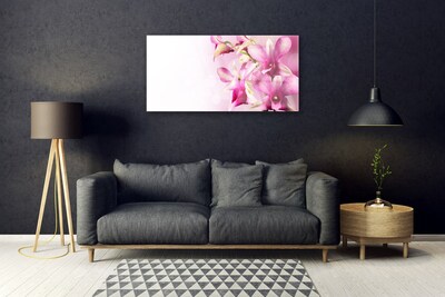 Tableaux sur verre Fleurs floral rose