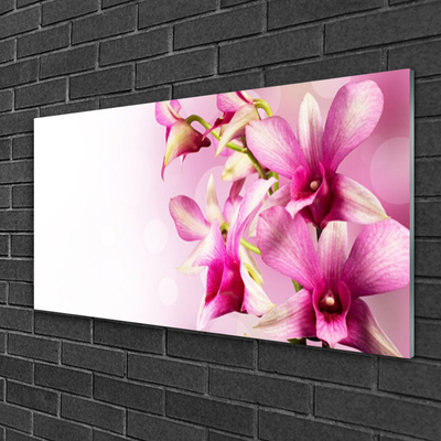 Tableaux sur verre Fleurs floral rose