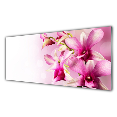 Tableaux sur verre Fleurs floral rose