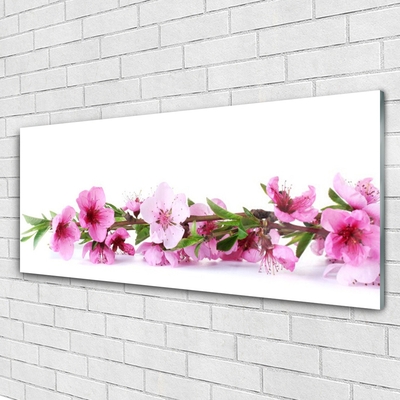 Tableaux sur verre Fleurs floral rose vert