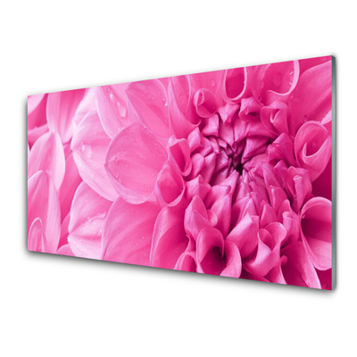 Tableaux sur verre Fleurs floral rose