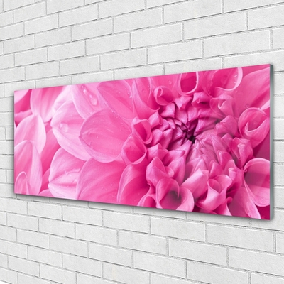 Tableaux sur verre Fleurs floral rose