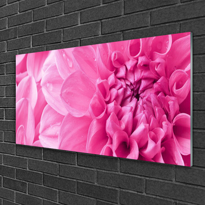 Tableaux sur verre Fleurs floral rose