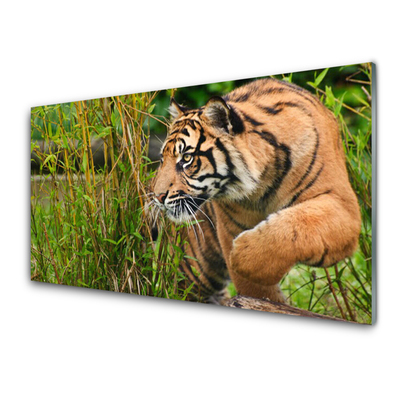 Tableaux sur verre Tigre animaux brun noir