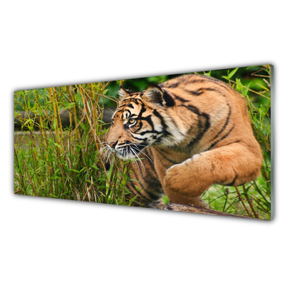 Tableaux sur verre Tigre animaux brun noir