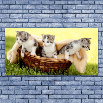 Tableaux sur verre Chats animaux gris blanc brun