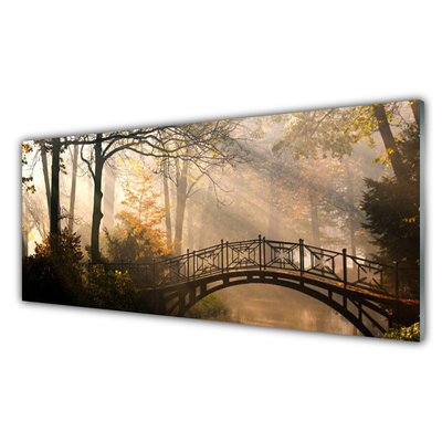 Tableaux sur verre Forêt pont architecture brun vert
