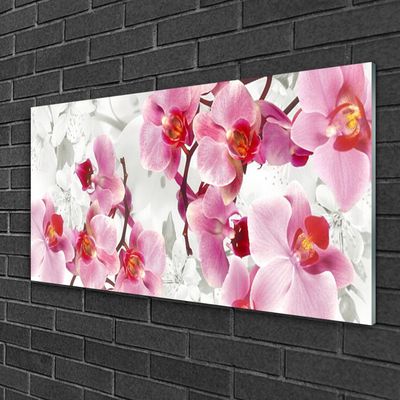 Tableaux sur verre Fleurs floral rose