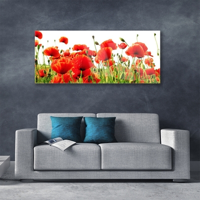 Tableaux sur verre Coquelicots nature rouge vert