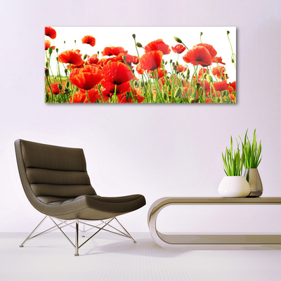 Tableaux sur verre Coquelicots nature rouge vert